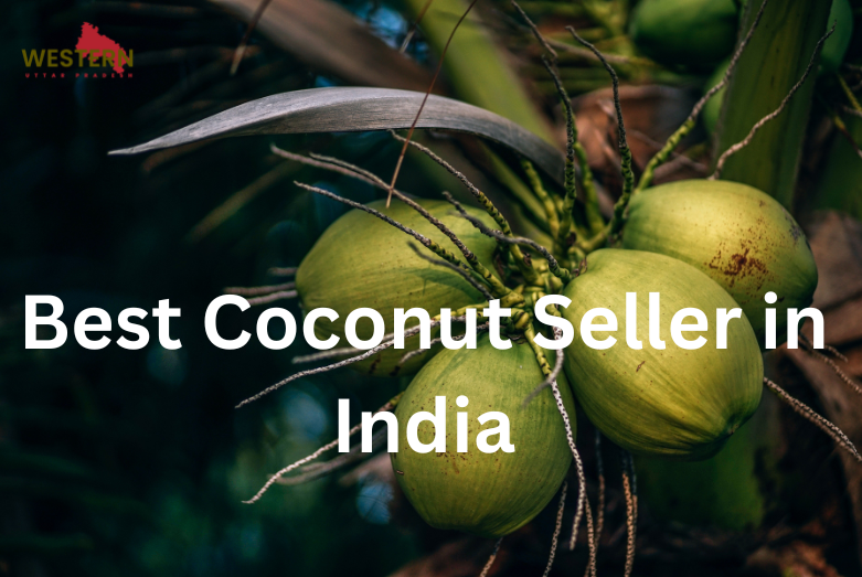 Best Coconut Seller in India